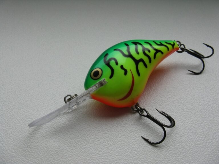 Beste Softbait Set: Complete Gids voor Zachte Kunstaas