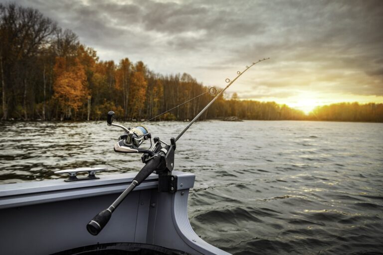Brasem vangen in diepe wateren: tips en trucs