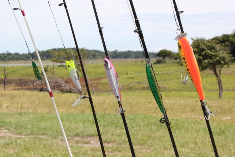 Beste Boilies voor Karper: Complete Gids + Top Merken
