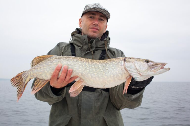 grote snoek gevangen met kunstaas