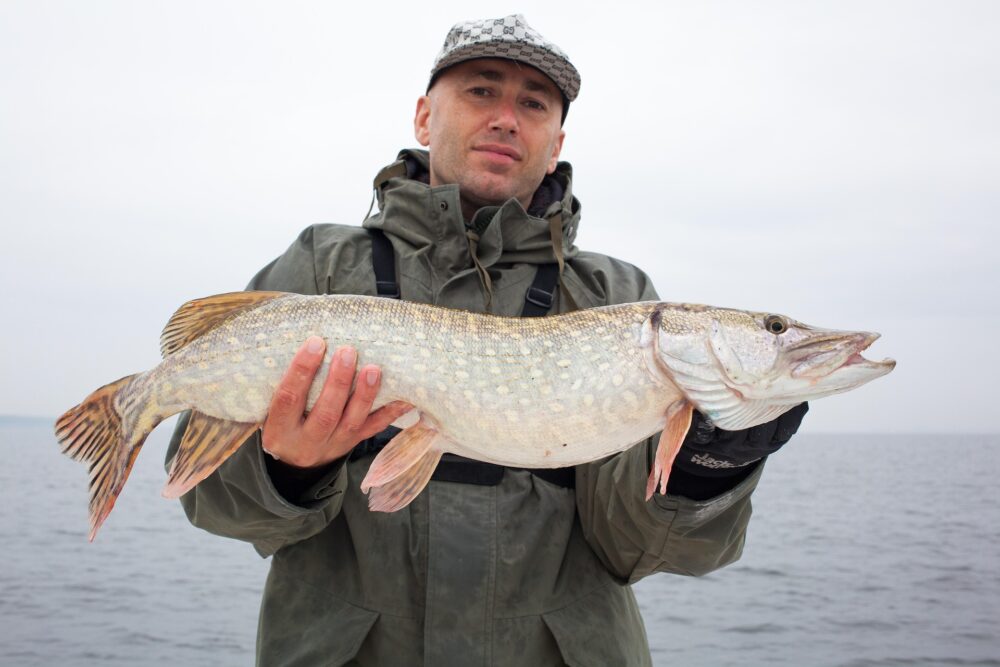grote snoek gevangen met kunstaas